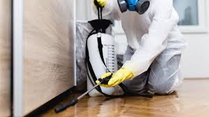 Real Estate Pest Inspections in Toccoa, GA